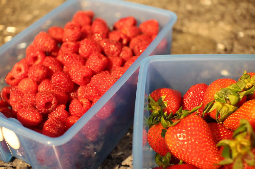 Berries Ready To Be Refrigerated