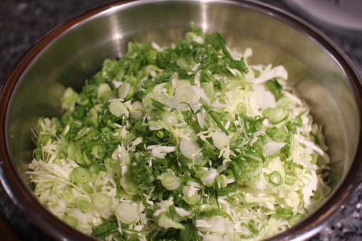Chopped Cabbage and Green Onion