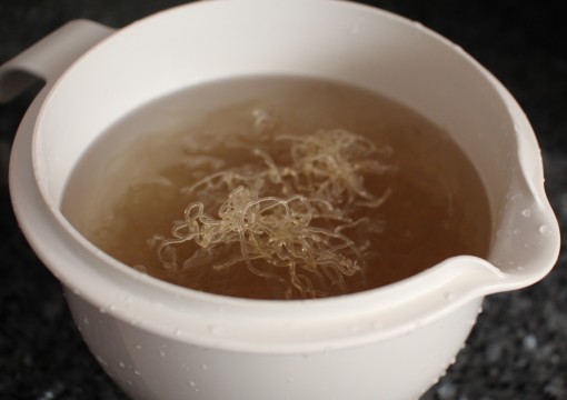Soaking Kelp Noodle