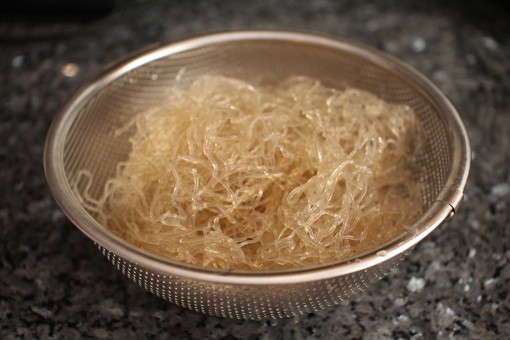 Strained Kelp Noodle