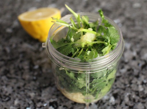 Ready to mix cilantro garlic pesto