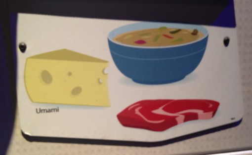 Umami