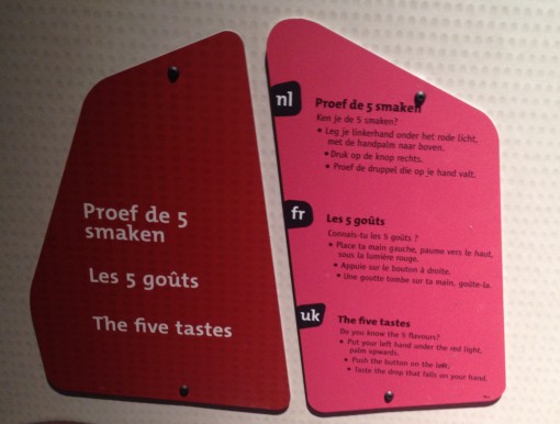 The 5th Taste