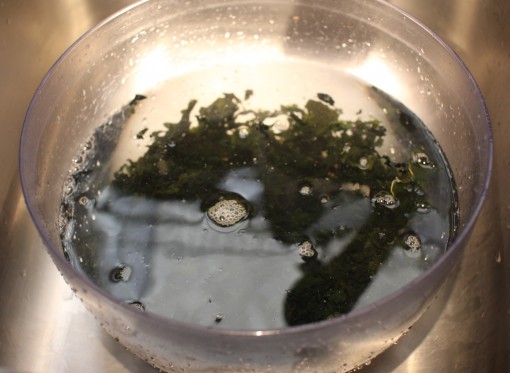 soaking seaweed