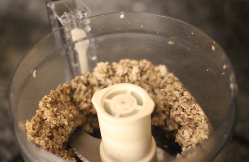 Blended Power Snack Balls