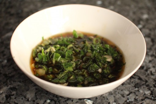 sesame oil soy sauce cilantro green onion